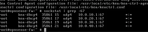 Kea bound to port 67 on all VLAN interfaces