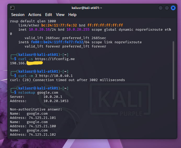 Kali terminal showing public IP from ifconfig.me, VLAN 40 timeout, and nslookup resolving google.com